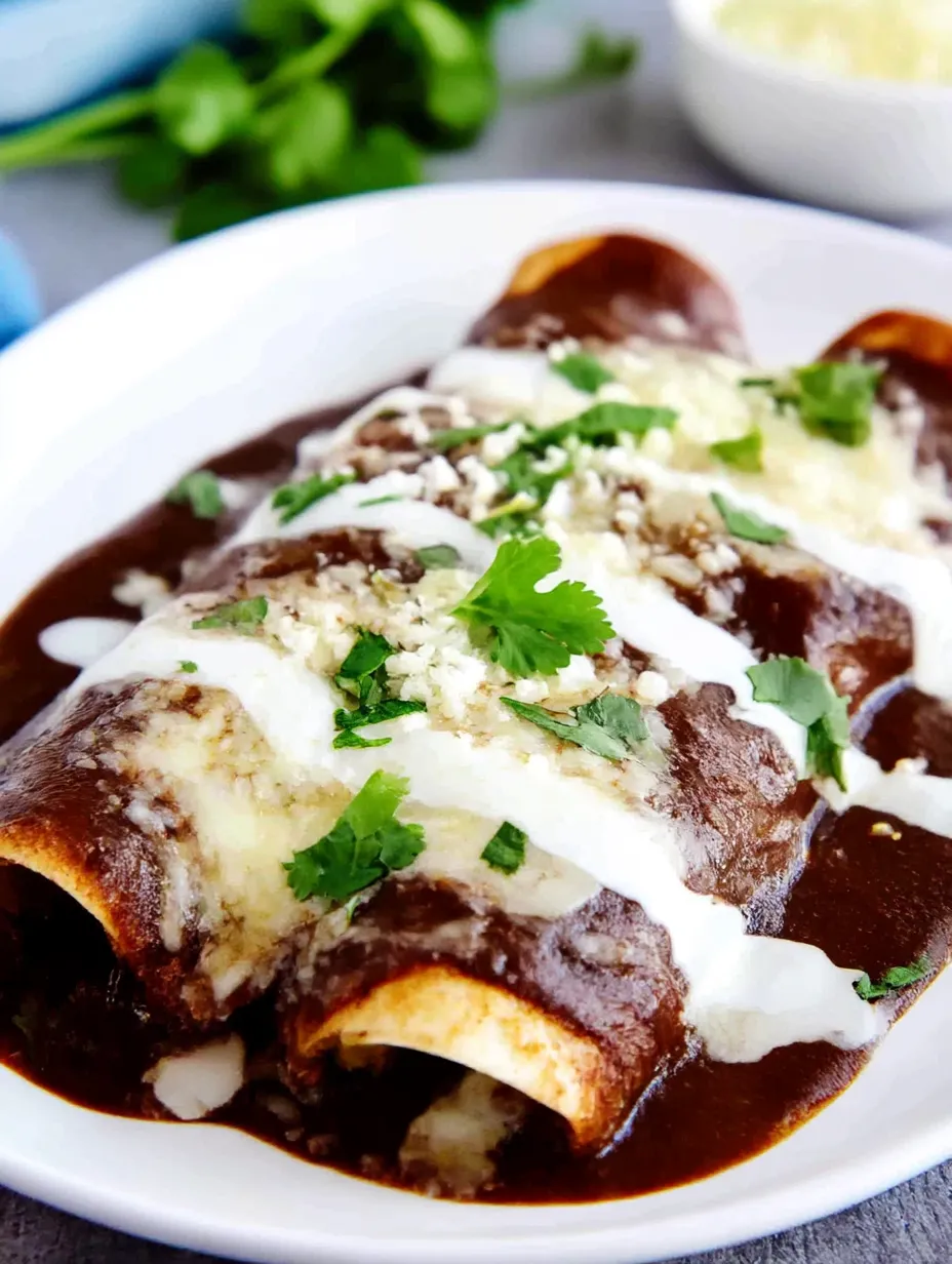 Quick Mexican Enfrijoladas, ready to eat.